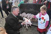 da durfte man auch mal ein Ferkel streicheln (&copy;Foto: Ingrid Grossmann)